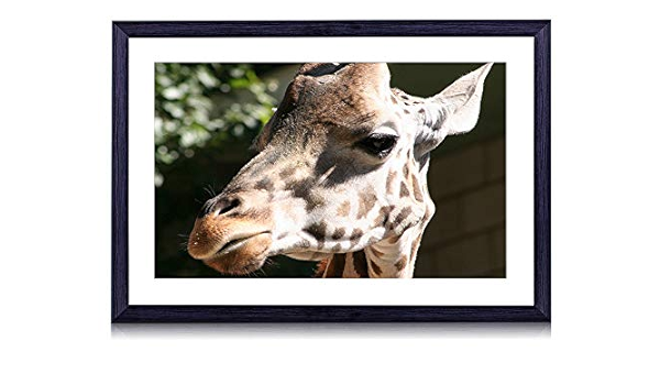 Amazon Co Jp 50cmx35cm 木製の黒色のフォトフレーム キリン顔アフリカ 壁掛け 壁飾り 壁ポスター おしゃれ ウォールアート アートパネル 壁の絵 インテリア絵画 額縁 部屋飾り 装飾画 ホーム キッチン