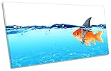 Goldfish Shark Finバスルームブルーボックスフレームキャンバス壁アートパノラマ印刷画像 80cm wide x 40cm high