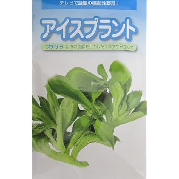 Amazon プチサラ 武蔵野種苗園のアイスプラント種です 野菜