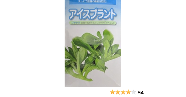 Amazon プチサラ 武蔵野種苗園のアイスプラント種です 野菜