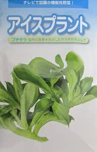 Amazon プチサラ 武蔵野種苗園のアイスプラント種です 野菜