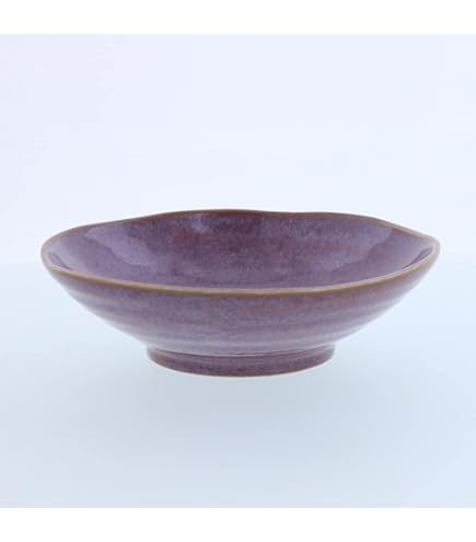 Amazon | 丹文窯 丹波焼 立杭焼 茶碗 丼 丸皿 変形皿 大西雅文 | ノー