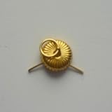 コニビオラ 菊座カン No‐4 F‐47 5ケ入