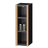 白井産業 【SHIRAI】 ウォルクス 壁掛けラック ブラック WLK-4515BK