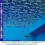 光る壁紙（蓄光） のりなしタイプ サンゲツ FE-4041 93cm巾 50m巻〔防カビ〕〔日本製〕