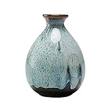壺/ジャルディーネセラミックスワインポット酒セット酒瓶