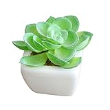 VORCOOL プラスチック 人工観葉植物 多肉植物 ポットミニ装飾偽盆栽 家庭ガーデン装飾 （ランダムデザイン）