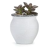 T4U 6CM 陶器ミ二植木鉢 韓国風の雪花シリーズ No.2 多肉植物 サボテン鉢 フラワーポット プランター容器
