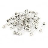 uxcell クイックブロー ガラス管ヒューズ メタル製クリア 6x30mm 30A 250V 30個入り