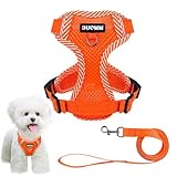 ペット用ハーネス＆リードセット 犬 ハーネス 小型犬 猫 中型犬 おしゃれ 犬用 胴輪 負担が少ない 犬具 ダブルロック メッシュ 抜けにくい犬具 簡単装着イヌ ドッグ お出かけ 散歩 外出 (オレンジ, XL)