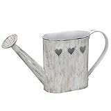 (ゲインズボローギフトウェア) Gainsborough Giftware ヴィンテージ風 じょうろ ガーデニングツール お庭 DIY (ワンサイズ) (グレー)