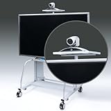 サンワサプライ 液晶・プラズマディスプレイスタンド CR-PL20専用 TV会議カメラ設置台 CR-PL20CT