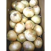 国産 玉ねぎ たまねぎ タマネギ 玉葱 1箱10kg