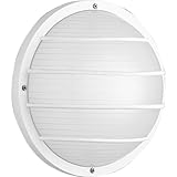 Progress Lighting P5703-30 Polycarbonate Light Mounted On Walls Or Ceilings Indoors or Outdoors with
