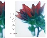 �G�e�p���}�`�Ă̈�ہ`