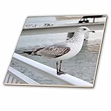 スーザン動物園クルー動物 – Seagull OnレールFacing右鳥 – タイル 12-Inch-Ceramic ct_212439_4
