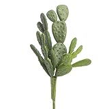 工場直接クラフトCrafting用植物の®ペア人工beautertiaサボテンピック、ArrangingとEmbellishing