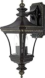 Quoizel DE8976IB Devon 21-Inch x 9-Inch 2 Light Outdoor Wall Fixture, Imperial Bronze [並行輸入品]
