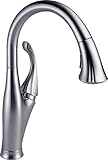 Delta Faucet 9192-AR-DST Addison Single Handle Pull-Down Kitchen Faucet with Magnetic Docking, Arcti