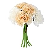 SONONIA 人工シルクフラワーカーネーションの花束の結婚式の白い家とシャンパン