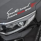 新型ロッキー用 ROCKY ステッカー デカール シール 防水 車 ロゴ ロッキー A200系 A210系 車種汎用 ボンネット フロントガラス サイド バンパーステッカー ビニール 耐熱 反射 かっこいい (ROCKY, ぎんはく)