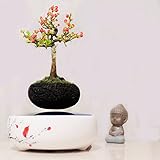 磁気浮上エア盆栽サスペンションフラワーポット鉢植え浮揚浴槽 THINKER1999 (White)