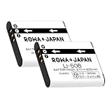 【2個セット】リコー対応 DB-100 CX3 CX4 CX5 CX6 互換 バッテリー ロワジャパン【PSE基準検品】