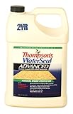 Thompsons Waterseal 11711 1-Gallon Thompson's Waterseal Advanced Natural Wood Protector Exterior Woo