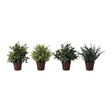 IKEA FEJKA　造花鉢植え (501.919.93)