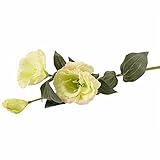 c-pioneer人工Platycodon grandiflorum FakeシルクフラワーブライダルブーケホームDIYウェディングデコレーション グリーン