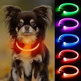 Candofly 光る首輪 小型犬 - 充電式 LED 犬 首輪 光る 猫犬用 散歩夜ライト (オレンジ)