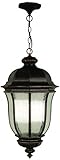 Craftmade Z3321-112 Hanging Lantern with Clear Seeded Glass Shades, Peruvian Bronze Finish by Craftm