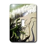 3drose LLC lsp _ 30682 _ 1 Beach Driftwood Single切り替えスイッチ