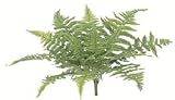 タカショー 【観葉植物・グリーンデコ和風】 ヤマシダ H25cm メンテが楽でリアルな人工植物 GN-42