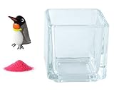 花市場直送便 ミニチュアガラス キングペンギン & カラーサンド ニューピンク & 植え込み用グラス ニューブロックS