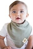 Poncho Baby Organic Bandana Bib, Olive/Beige by Poncho Baby