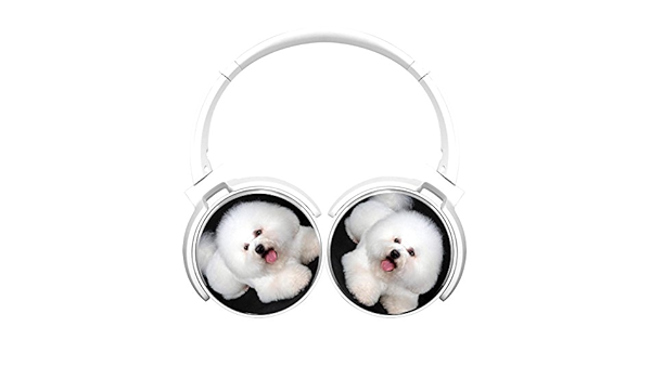 Amazon Co Jp Pimkw犬bluetoothワイヤレスイヤホンノイズキャンセリングヘッドフォン折りたたみ式ajustable軽量ヘッドセットマイク付きステレオサウンドホワイト 家電 カメラ