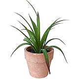 フェイクプランツ 多肉植物 ポットミニC DECOR IMITATION MINI CACTUS