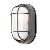 Hampton Bay HB8822P-05 Wall-Mount Outdoor Oval Bulkhead Light [並行輸入品]