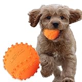 LaRoo 犬 おもちゃ ボール 音の出る 噛むおもちゃ 天然ゴム 弾力性 耐久性 犬 おもちゃ 歯のクリーニング 中小型犬用 運動不足 ストレス解消 室内外遊び トレーニング用 （直径6.5cm）
