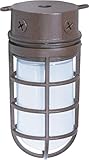 Nuvo Lighting SF76/625 Industrial Style Small Heavy Duty Aluminum Durable Outdoor Close to Ceiling P