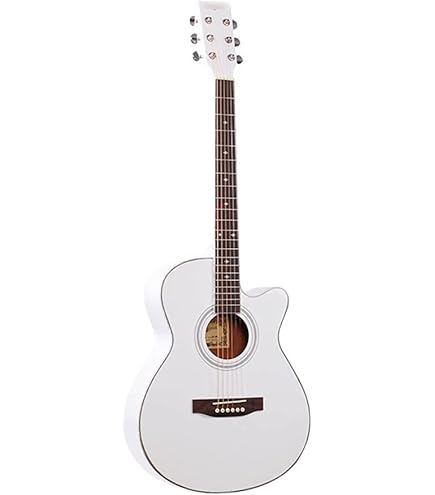 Amazon | TAKAMINE TSP138C N | エレアコギター | 楽器・音響機器
