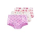 赤ちゃんのための3つの柔らかい通気性の下着のパンティーのセット女の子の様式2、1-2歳