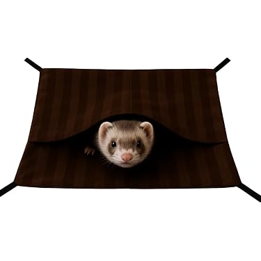 Amazon.co.jp 売れ筋ランキング: 小動物ハンモック の中で最も人気の