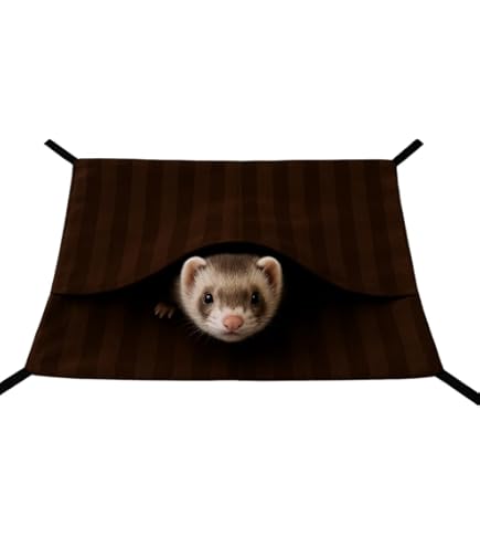 ラ*ビ様 フェレット用ハンモック約45×45cm ラ*ビ様 フェレット用ハンモック約45×45cm 楽天市場】フェレット