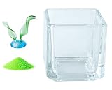 花市場直送便 ミニチュアガラス 水草A 大 & カラーサンド パステルグリーン & 植え込み用グラス ニューブロックS