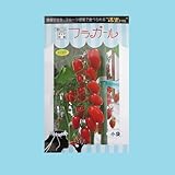 ダイヤ交配　フラガール　トキタ種苗のミニトマト品種