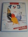 インコ 改訂・保存版: インコの飼育・医学・生態・歴史すべてがわかる (アニファブックス わが家の動物・完全マニュアル)
