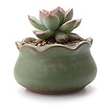 T4U 7.4CM スプリングシリーズ NO.4 花輪縁 多肉植物、サボテン鉢 フラワーポット プランター容器 グリーン