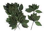 Darice 35443-54 Large Silk Rose Single Leaf, 2-1/2-Inch, Green, 144-Pack by Darice